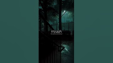 يَا لَيْتَهَا كَانَتِ الْقَاضِيَةَ﴾[ سورة الحاقة: 27] #ياسر_الدوسري #قران_كريم