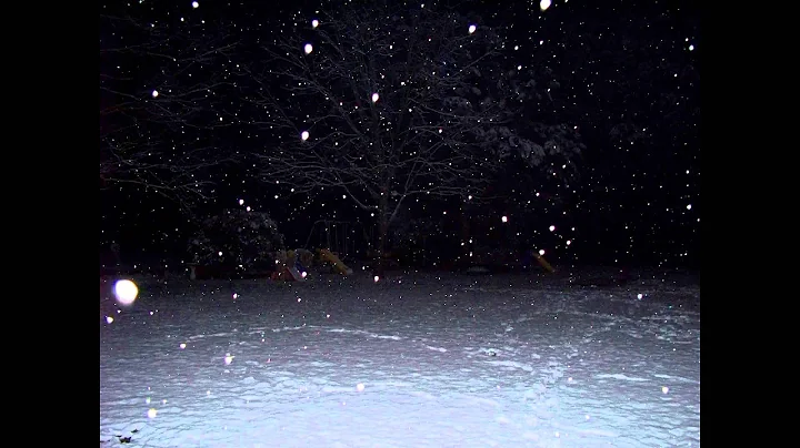 William Basinski - Silent Night