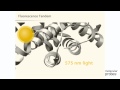 Molecular Probes Tutorial Series—Analyzing Flow Cytometry Data