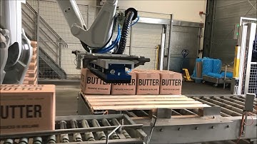 Palletizing robot stacks cartons with Vuototecnica Octopus Vacuum Gripper