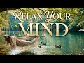 Relaxing River Nature Sounds 🌿 Birds, Ducks &amp; Gentle Water Ambience