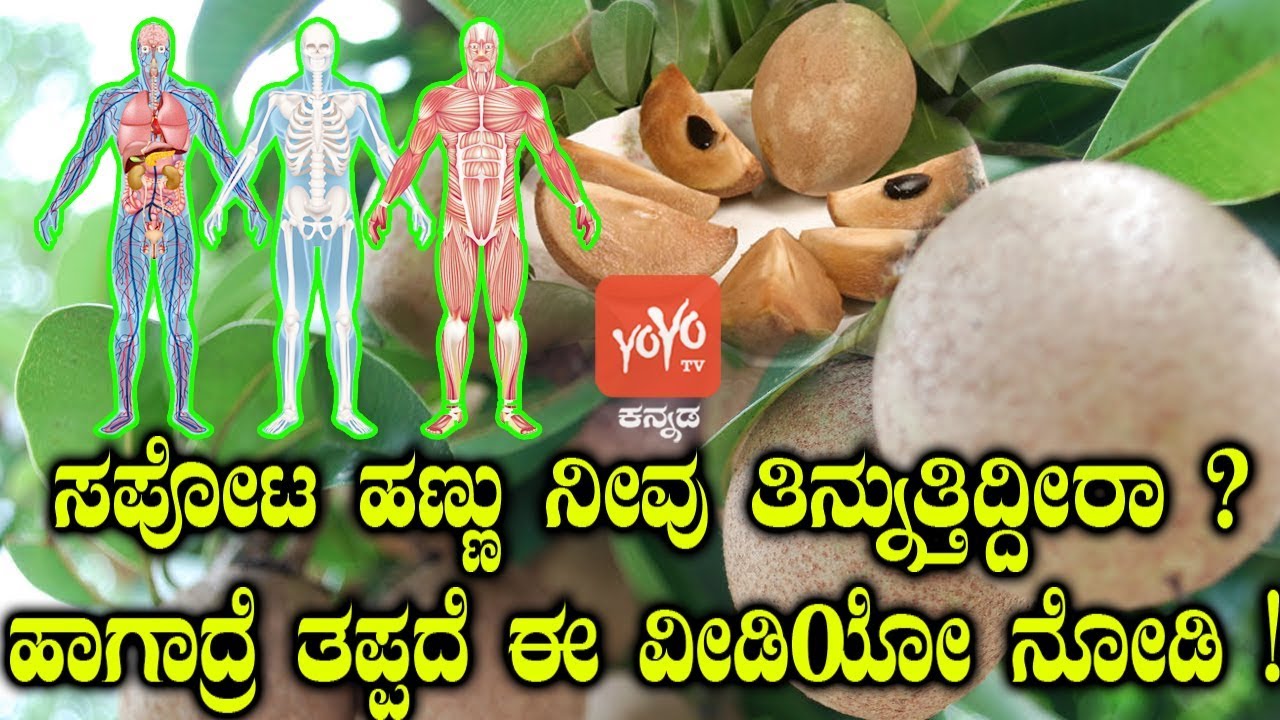 ಸಪೋಟ ಹಣ್ಣು ನೀವು ತಿನ್ನುತ್ತಿದ್ದೀರಾ ? ಹಾಗಾದ್ರೆ ತಪ್ಪದೆ ಈ ವೀಡಿಯೋ ನೋಡಿ ! Are You Eating Sapota ( Chikoo )