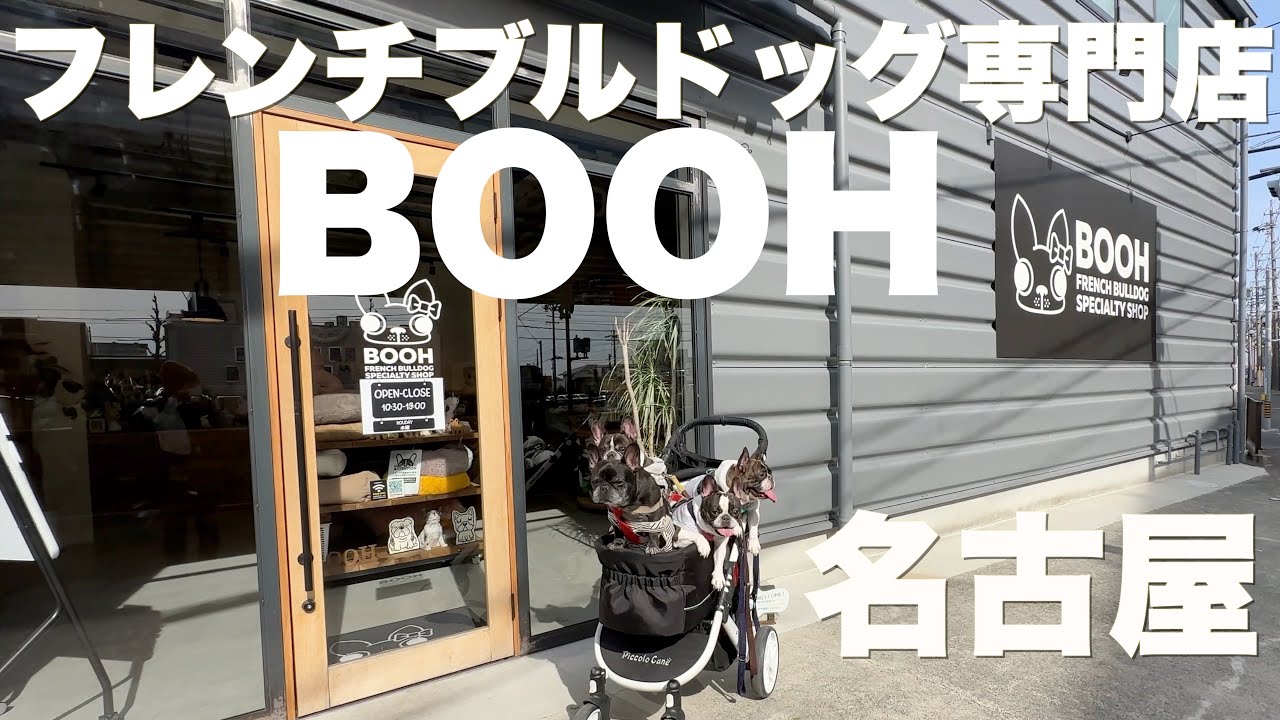 フレンチブルドッグ専門店 BOOH 名古屋 【 フレンチブルドッグ french_bulldog  】昨年爆発的に売れた夏グッズ