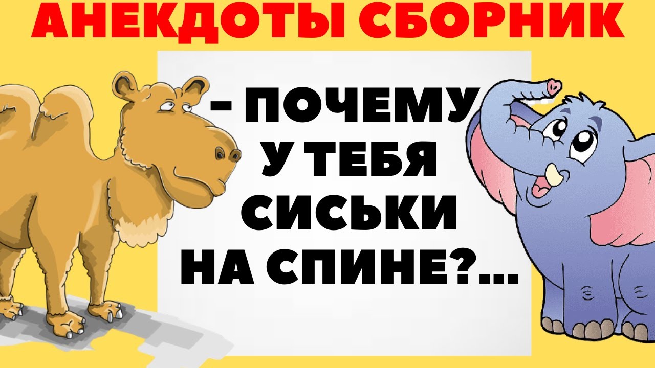Анекдоты сборник. Про мужа и жену, друзей, верблюда и слона - YouTube