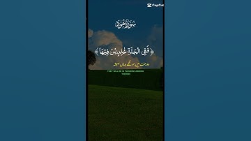 القران الكريم ما تيسر من سورة هود #آيات #القرآن_الكريم #ايات_قرانيه_قصيره #راحة_نفسية #لايك #اكسبلور