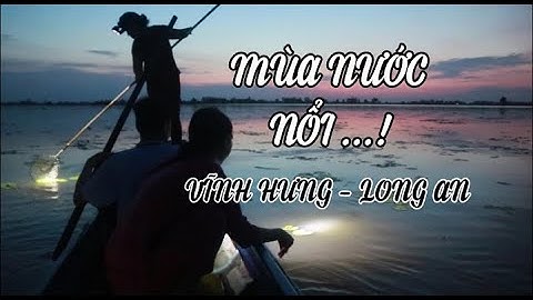 MÙA NƯỚC NỔI Ở VĨNH HƯNG - LONG AN | (Phần 1) Đi bắt ốc với chị tư || MINH TAN LANG THANG