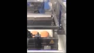 PC 5600 compatta L sealer