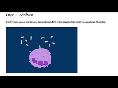 Vidéo: Différence Entre L'immunité Spécifique Et Non Spécifique