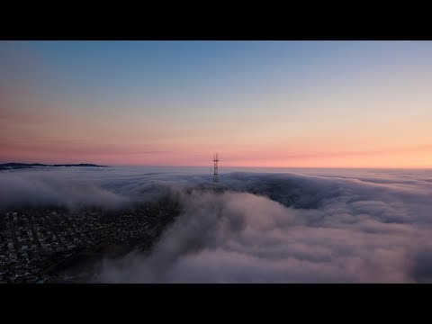 Ambyion // Panorama
