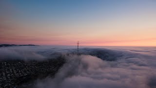 Ambyion // Panorama