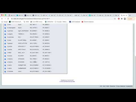 Multiple Sequence Alignment_class lecture 2