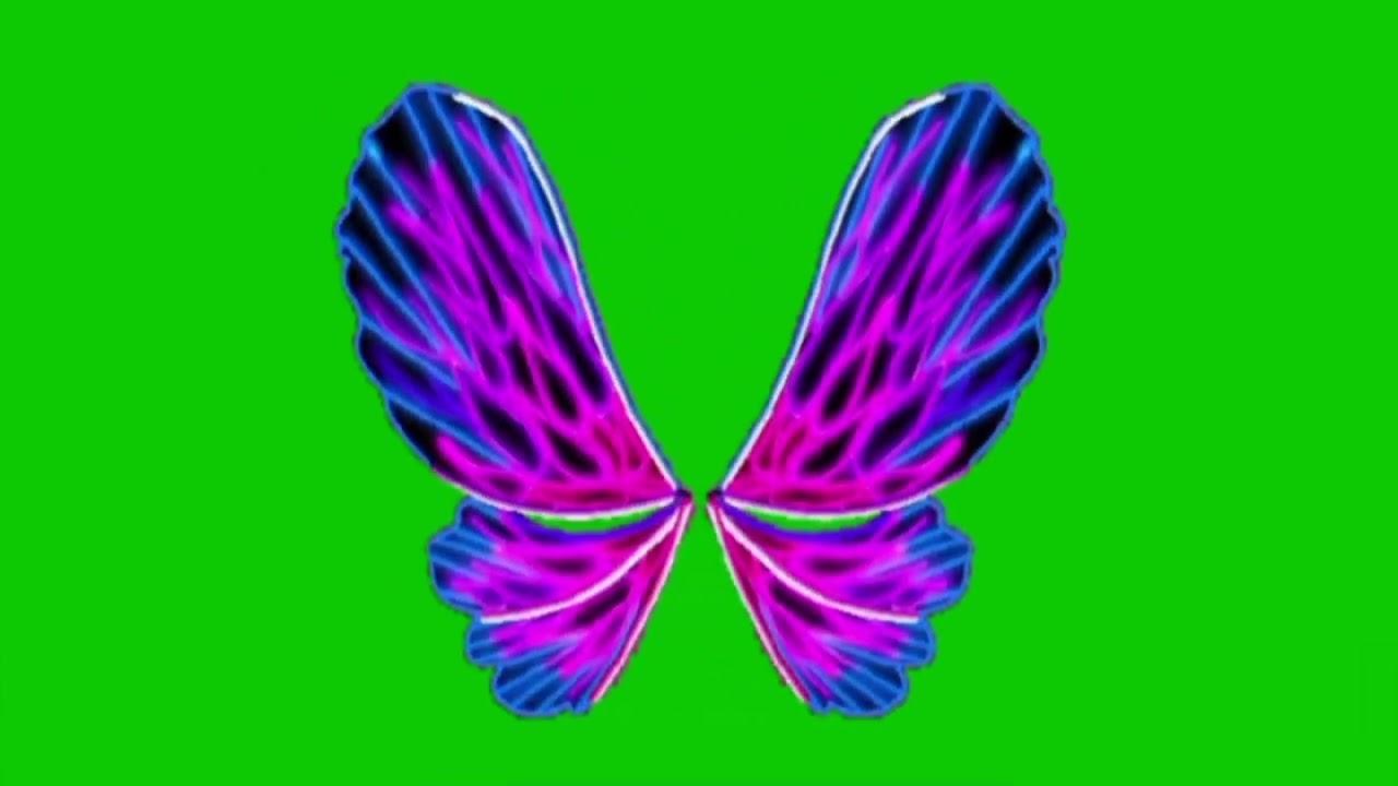 Miranda's Four-Neon-Colored Dreamix Fairy Wings Of Glow-In-The-Dark On Green Screen Effects #2