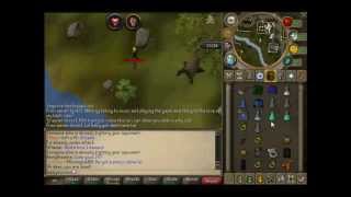RUNESCAPE DRAGON CLAW RUSHING FAIL