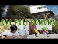 Day in My Life at Cal Poly Pomona