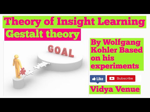 Insightful Learning | Theories Of Learning | Gestalt Theory Of Learning | Vidya Venue