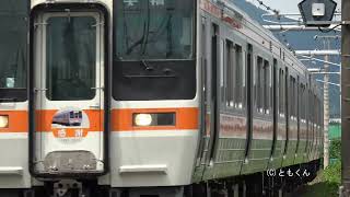 311系 東海道本線 大垣 － 米原 2025/06～07撮影 その2