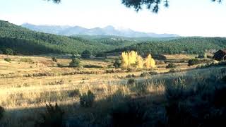 Lots And Land for sale - Lot 6 Mountain Mahogany on CR 69, Ojo Sarco, NM 87521