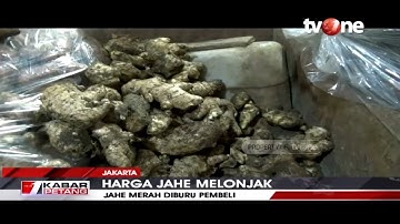 Diyakini Tingkatkan Daya Tahan Tubuh, Harga Jahe Merah Makin Pedas | tvOne