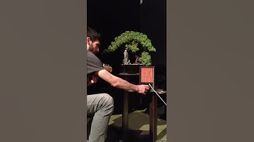 LM386 Amplifier built by Red Gate Recorders!