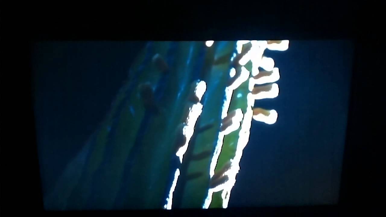 TV LG 4k 8200 Netflix ultra high definition YouTube