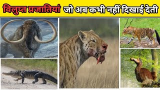 दुनिया की 5 विलुप्त प्रजातियाँ | Top 5 Extinct Species in Hindi | Vilupt janwar ke naam #facts