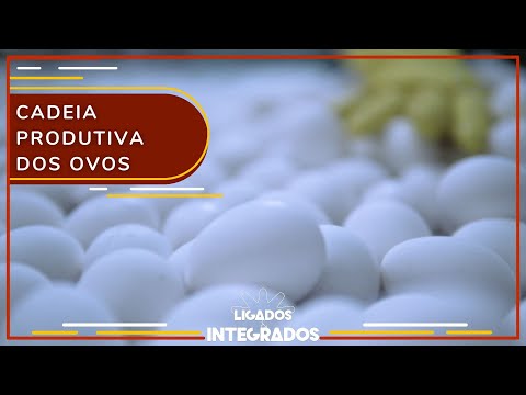 Ovos para consumo: da granja ao mercado, como manter a qualidade? | Ligados&Integrados - 07/11/2022