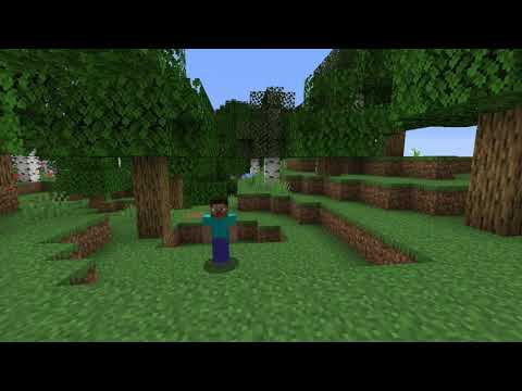 Minecraft speedruns be like (original)