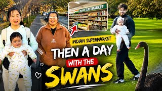 Indian Grocery Shopping in New Zealand, Then a Beautiful Day with Swans | Family Daily Vlog