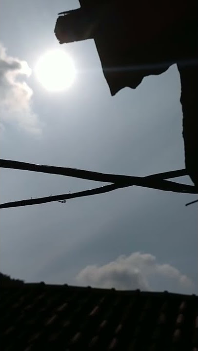 Story Wa Pagi Hari, Minggu 10 April 2022