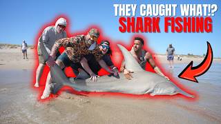 We Caught a Hammerhead Shark From the Beach Using a Drone! (Multiple Sharks!)
