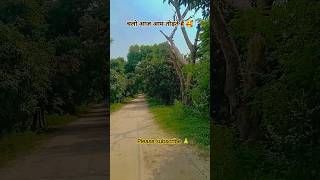आम बगीचा#mango#foryou#ai #viralvideo#motivation#indian#education#comedy#travel#trendingshorts#shiva