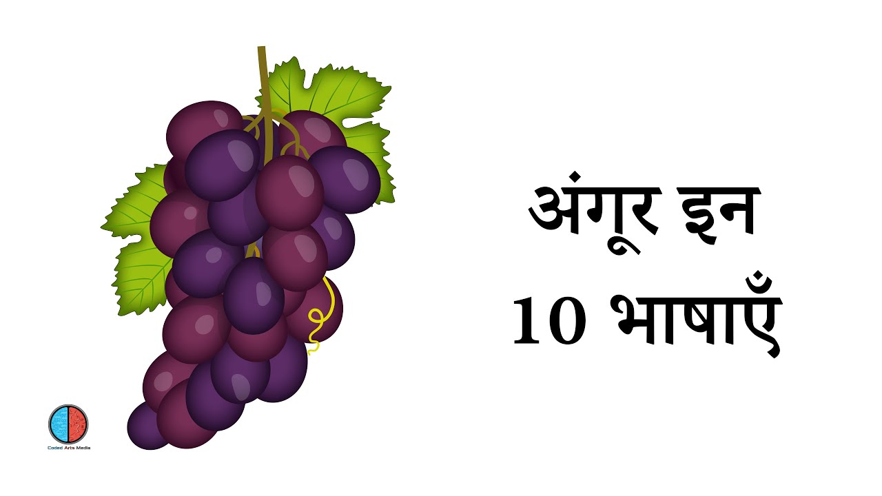 10 भाषाओं में अंगूर (मुख्य भाषा हिंदी) Grape in 10 Languages (Main Language Hindi) YouTube