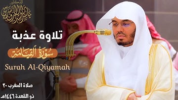 " بَلِ الإِنسانُ على نَفسِهِ بَصيرَةٌ " تلاوة عذبة لـ سورة القيامة للشيخ ياسر الدوسري ~ 20-11-1446هـ