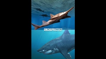 Megalodon VS All Prehistoric Sea Creatures #dinosaur #megalodon #shorts