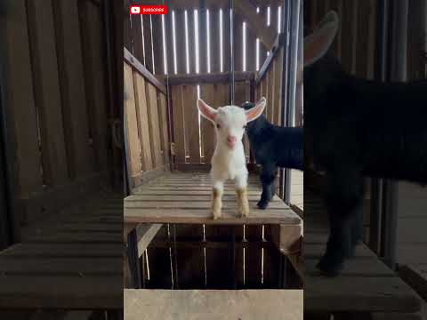 #trending