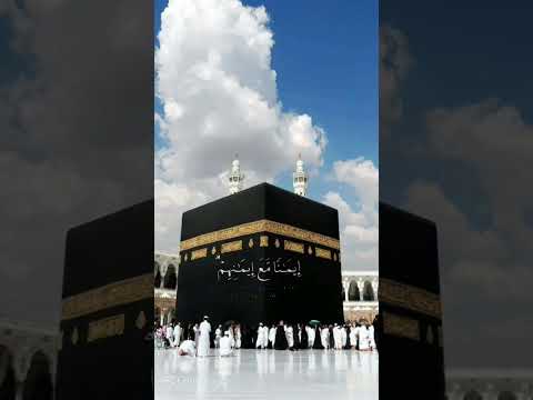 Rasty Lak Fyp For You Fyp