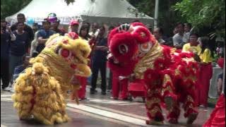 Barongsai Dance