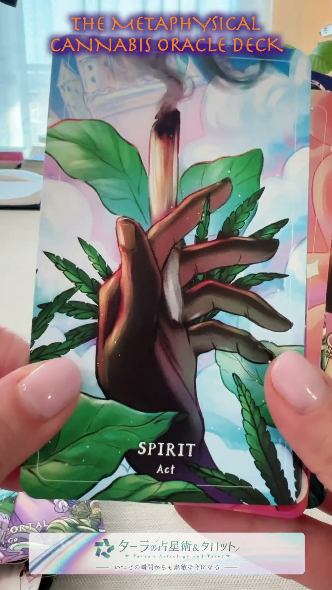 Tara's Astrology & Tarot - YouTube