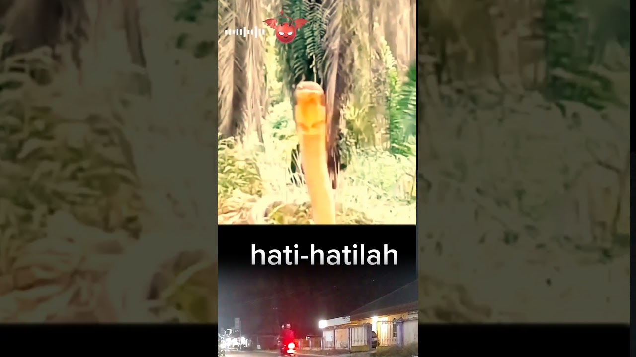 Suara ular lurr,,😨 