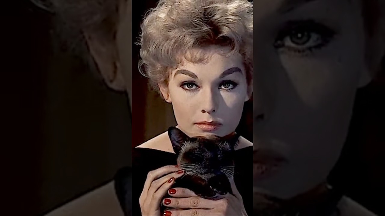 #cat #cats #acting #actor