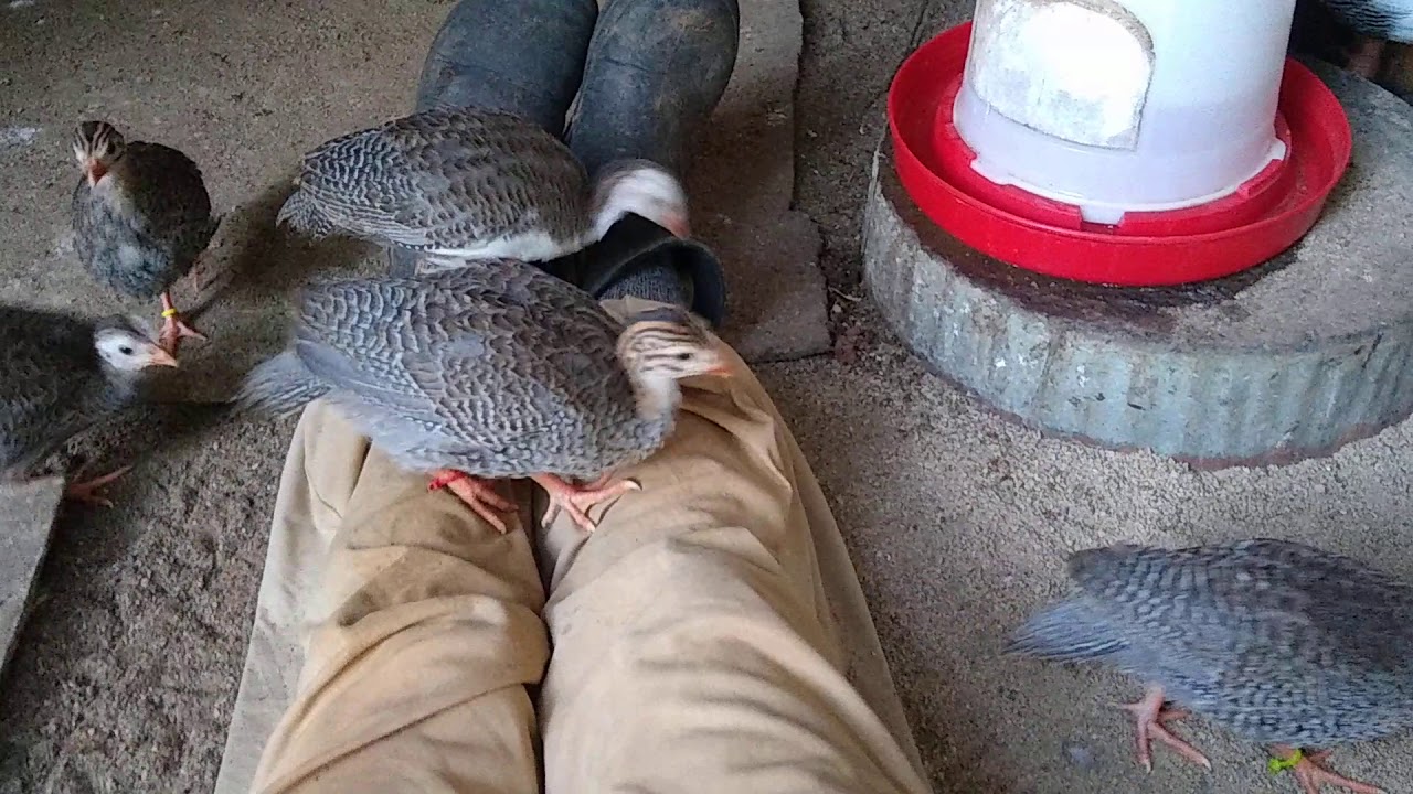 dude-your-mom-is-mean-youtube