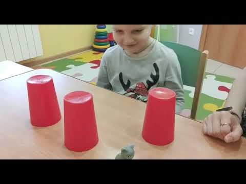Зрительное восприятие и внимание
