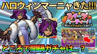 【ドラクエタクト】ハロウィンマーニャが全タクターからジェムを搾り取る気満々で登場!!!!ところで今年のハロウィン闇鍋ガチャはありますか…？