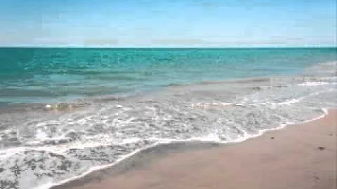 Your Presence.wmv