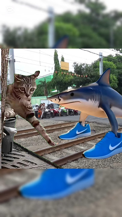 TRALALALERO TRALALA KAGETIN KUCING DI PERLINTASAN KERETA API