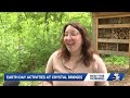 Crystal Bridges' Tree Party to celebrate Arbor Day