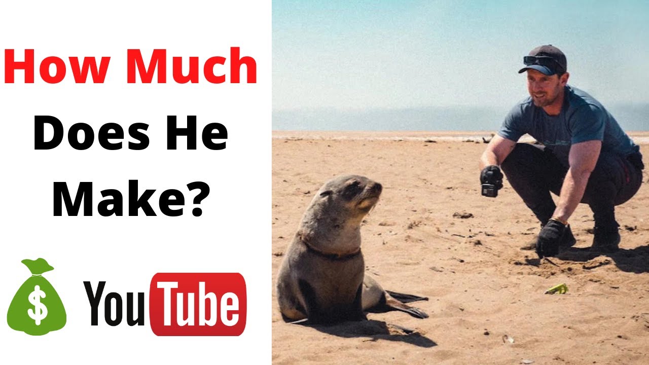 How Much Does Ocean Conservation Namibia Make on youtube - YouTube