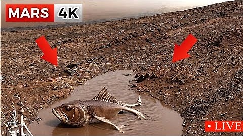 Mars 360° 4K Footage by NASA Curiosity Rover – You’ve Never Seen Mars Like This