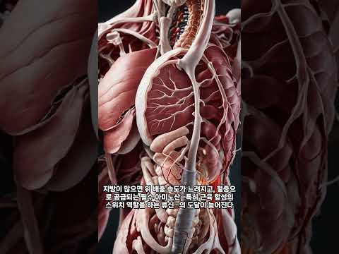 멈추기만 해도 건강해진다고 의사들이 말하는 지금 바로 멈춰야 하는 이 행동들 의사들이 말하는 지금 바로 멈춰야 하는 이 행동들 
