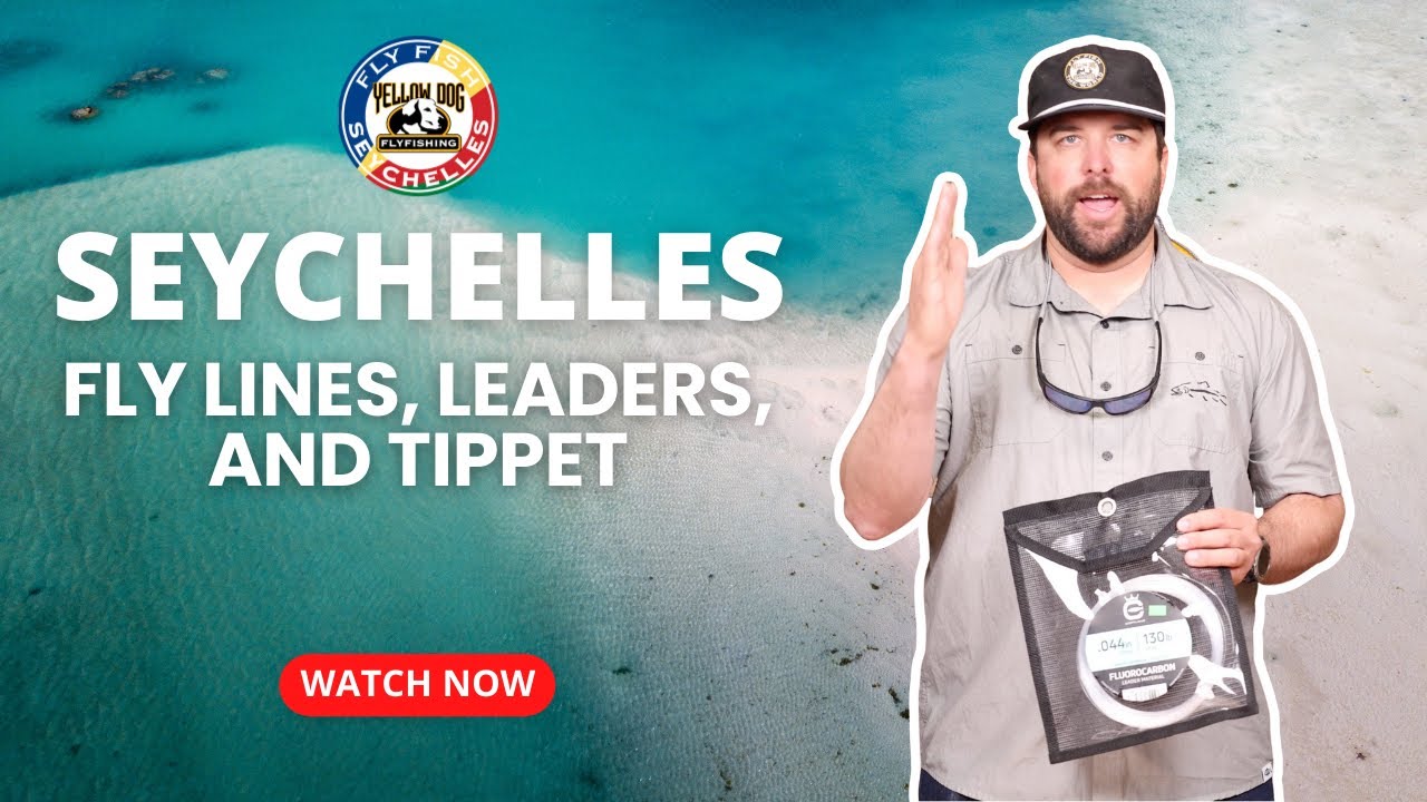 Нахлыстовые лески, поводки и подлески для ловли рыбы нахлыстом на Сейшельских островах.